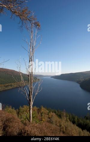 Lac Vyrnwy, Powys, Pays de Galles du milieu Banque D'Images