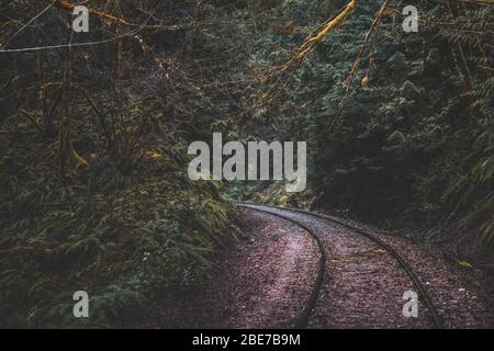 Le trèstle de chemin de fer Goldstream est situé dans le parc provincial Goldstream au Canada Banque D'Images