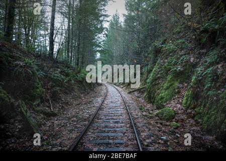 Le trèstle de chemin de fer Goldstream est situé dans le parc provincial Goldstream au Canada Banque D'Images