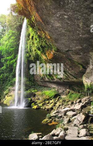 Cascades Misol Ha dans la luxuriante forêt tropicale près de Palenque, Chiapas, Mexique Banque D'Images