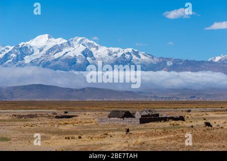 Aymaran Country avec la Cordillera Real et ses 6 000 m de pics, Peninsula Huata, Département la Paz, Bolivie, Amérique latine Banque D'Images