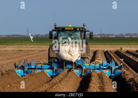 Tarleton, Royaume-Uni, météo ; 13 avril 2020. Journée ensoleillée et sèche pour planter des pommes de terre de semence à Tarleton. Après une nuit froide avec un léger gel, les sols sont en bon état pour le labourage et la formation des rainures profondes à sillons, à des fins de drainage, pour permettre la plantation de printemps de récoltes agricoles à l'aide d'un accessoire Grimm Malpas et d'un engrais avant avec un John Deere 6135R. Les cultures principales ou les terres d’araiculture comprennent des pommes de terre de type «maris Piper» et prennent de 16 à 22 semaines pour mûrir. Les pommes de terre de semence sont prêtes à planter lorsque les pousses «chit» après qu'elles commencent à gercer Banque D'Images