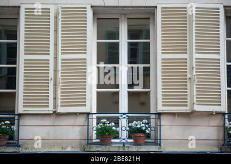 Fenêtres en bois blanc avec pots à fleurs Banque D'Images