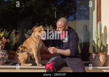 Homme jouant avec son chien dans le jardin Banque D'Images