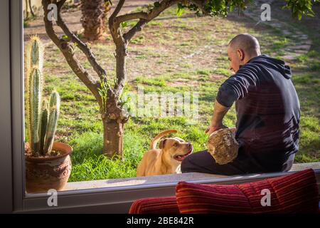 Homme jouant avec son chien dans le jardin Banque D'Images