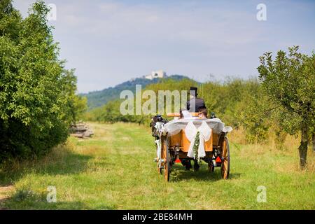 Mariage de calèche dans le jardin, Grande-Bretagne couple nouvellement-mer dans un noir, cheval-dessiné, charriot ouvert belle journée ensoleillée Banque D'Images