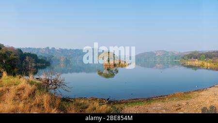 Un matin paisible sur le lac Padma Talao. Parc national de Ranthambore, Rajasthan, Inde Banque D'Images