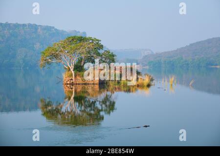 Un matin paisible sur le lac Padma Talao. Parc national de Ranthambore, Rajasthan, Inde Banque D'Images