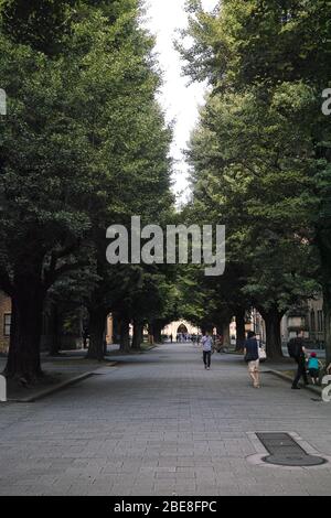 Tokyo, Japon - 9 8 19: L'entrée menant à l'Université de Tokyo Banque D'Images