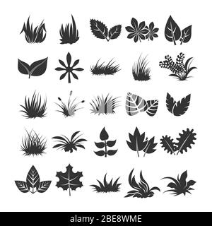 Feuilles et silhouettes d'herbe sur fond blanc. Plante de feuilles noires monochrome, illustration vectorielle Illustration de Vecteur