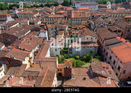 Vue aérienne de la petite ville médiévale de Lucques, Toscane Toscana , Italie, Europe. Vue depuis la tour Guinigi Banque D'Images