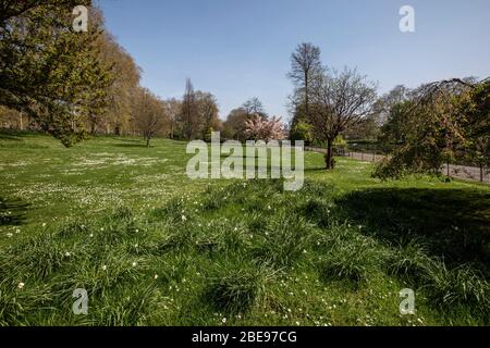 Vide dans le parc St James pendant le coronavirus COVID-19, un verrouillage de distanciation sociale pandémique à Londres, Angleterre, Royaume-Uni Banque D'Images