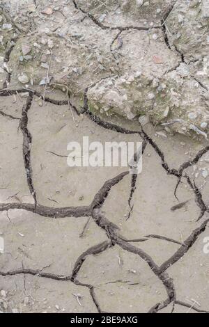 Fissures profondes dans le séchage du sol boueux des terres agricoles. Pour les fissures politiques, les pénuries d'eau, les fissures de rétrécissement du sol, la perte d'eau, l'ingénierie du sol, Sécheresse au Royaume-Uni. Banque D'Images