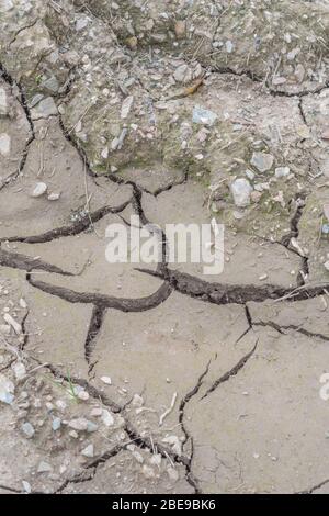Fissures profondes dans le séchage du sol boueux des terres agricoles. Pour les fissures politiques, les pénuries d'eau, les fissures de rétrécissement du sol, la perte d'eau, l'ingénierie du sol, Sécheresse au Royaume-Uni. Banque D'Images