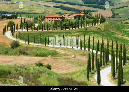 Magnifique paysage printanier.belle vue sur la ferme toscane typique, collines aux vagues vertes, cyprès des arbres, balles de foin, oliviers, beau doré Banque D'Images