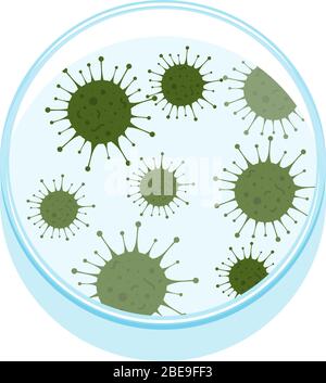 Illustration vectorielle de boîte de Petri avec microbes. Bactéries de recherche en laboratoire Illustration de Vecteur