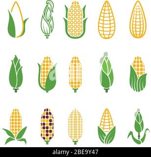 Icônes vectorielles de maïs organique isolées sur fond blanc. Illustration biologique des légumes du maïs et de la maïs Illustration de Vecteur