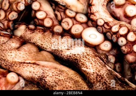 Fond texturé de tentacules frais de poulpe Banque D'Images