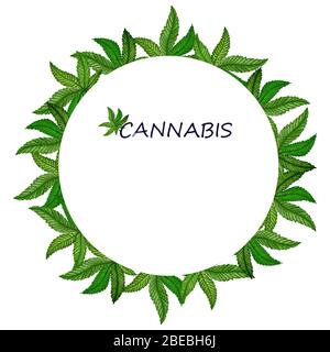 feuilles de cannabis à cadre rond, illustration d'aquarelle peinte à la main avec plante de marijuana médicinale Banque D'Images