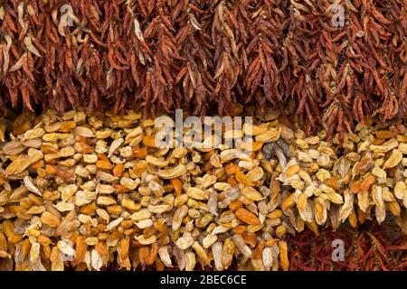 Piments séchés en vente sur le marché intérieur à Funchal , Madère; Banque D'Images