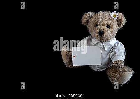 ours en peluche portant une chemise blanche et une marguerite, tenant une feuille de papier vierge Banque D'Images