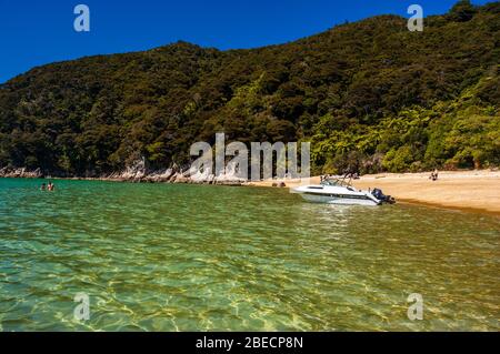 La plage dans le parc national Abel Tasman, île du Sud, Nouvelle-Zélande. Banque D'Images