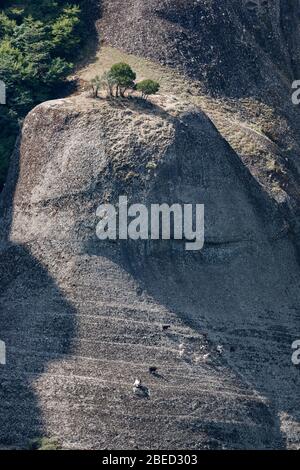 Meteora, la formation de roches bien connues en Grèce centrale, les chèvres marchent sur les rochers, les Balkans, la Grèce Banque D'Images