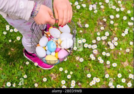 Œufs de Pâques dans l'herbe. Panier avec différents oeufs de couleur dans un défrichement avec des fleurs. Le concept de vacances en famille, de divertissement pour enfants. Vue de dessus. Libre pour le texte. Banque D'Images
