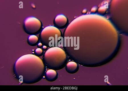 Bulles d'huile violettes dans un liquide comme fond abstrait Banque D'Images