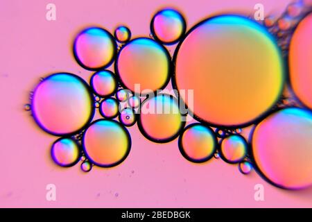 Bulles d'huile rose dans un liquide comme fond abstrait Banque D'Images