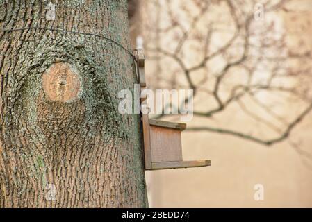 Maison d'oiseaux sur un tronc d'arbre à Schoneberg Berlin Banque D'Images