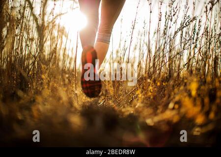 Jeune femme qui traverse de grandes herbes sur un sentier en fin d'après-midi Banque D'Images