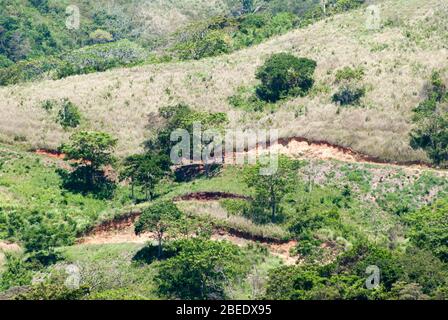 Vue aérienne sur le paysage rural vallonné de l'île de Roatan (Honduras). Banque D'Images