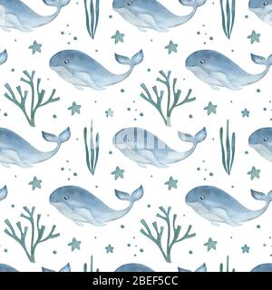 Motif sans coutures en aquarelle avec baleines arctiques et éléments décoratifs de plantes sur fond blanc. Illustration drôle pour les enfants. Banque D'Images