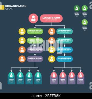 Structure organisationnelle de l'entreprise. Graphique hiérarchique vectoriel. Structure hiérarchique et organigramme de l'organigramme de connexion équipe illustration Illustration de Vecteur