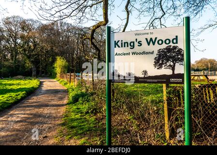 Croydon, Royaume-Uni - 10 avril 2020: King's Wood (également connu sous le nom de Sanderstead Wood) - belles terres boisées qui à l'origine était gérée comme un coppice Banque D'Images