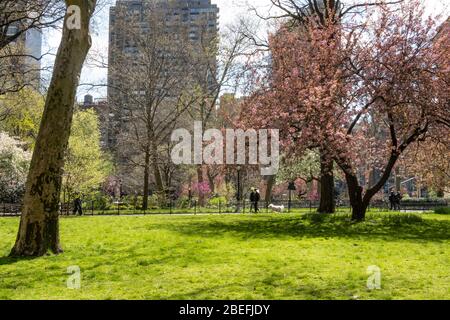 Le printemps est beau dans le Madison Square Park, NYC, USA Banque D'Images