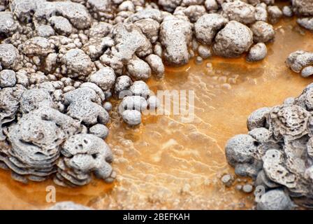 Texture et motifs abstraits formés à la fois par les bactéries thermophiles et les gisements minéraux des sources chaudes et des geysers du parc national de Yellowstone. Banque D'Images