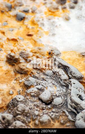 Texture et motifs abstraits formés à la fois par les bactéries thermophiles et les gisements minéraux des sources chaudes et des geysers du parc national de Yellowstone. Banque D'Images