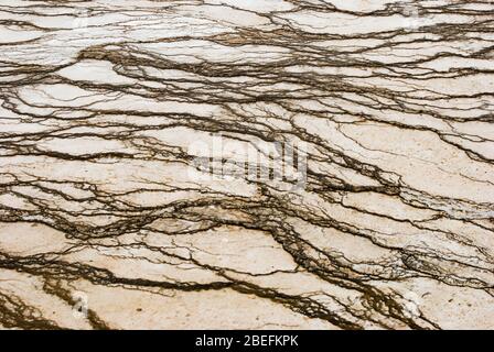 Résumé gros plan des motifs et des textures formés par la bactérie thermophile des sources chaudes et des geysers du parc national de Yellowstone Banque D'Images