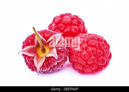 Framboises mûres, isolé sur fond blanc dentelle Banque D'Images