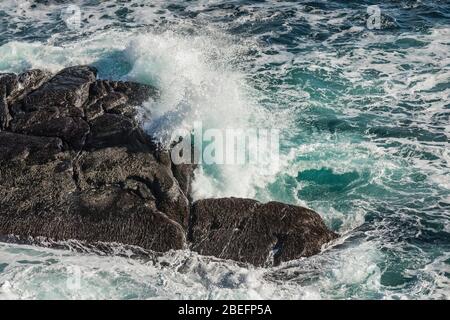 Vagues se brisant sur la rive rocheuse du lieu historique national du phare du Cap-Spear, près de St. John's, Terre-Neuviens, Canada Banque D'Images