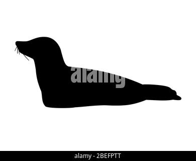 Silhouette noire mignon phoque dessin animé animal illustration vectorielle plate isolée sur fond blanc Illustration de Vecteur