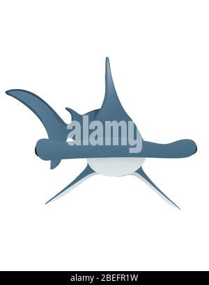 Requin martelé animal géant sous-marin dessin de personnage dessin de dessin animé plat illustration vectorielle isolée sur fond blanc Illustration de Vecteur