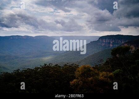 Des rayons légers éclatent à travers des nuages sur la canopée d'eucalyptus dans les montagnes Bleues à Wentworth Falls, Nouvelle-Galles du Sud, Australie Banque D'Images