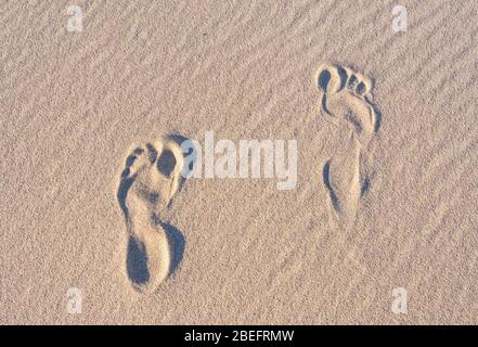 imprimé pieds dans les dunes de sable Banque D'Images