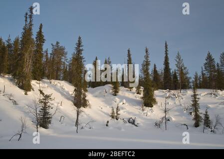 Scène du parc national de Pallas-Ylläs tunturi, Muonio, Finlande Banque D'Images