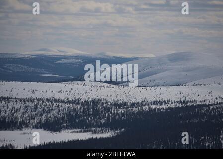 Scène du parc national de Pallas-Ylläs tunturi, Muonio, Finlande Banque D'Images