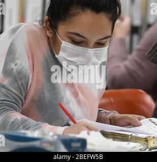 Racine, Wisconsin, États-Unis. 13 avril 2020. Les bulletins de vote déposés à racine, dans le Wisconsin, lors de la controverse présidentielle du 7 avril, les élections primaires et publiques du Wisconsin sont présentés en tableau le lundi 13 avril 2020. Chaque enveloppe de bulletin de vote a été ouverte et vérifiée pour vérifier la conformité aux lois électorales avant d'être introduite dans une machine à tabuler. La ville n'avait que les options de vote par correspondance en voiture et absent; il n'y avait pas de vote en personne autorisé. L'élection a été tenue conformément aux directives des décisions des cours suprêmes du Wisconsin et des États-Unis. Les résultats doivent être annoncés lundi. (Image de crédit : © Mark Hertzbe Banque D'Images