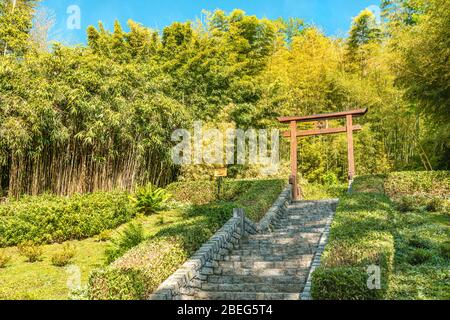 Porte torii au jardin Bamboo dans le jardin botanique de Villa Carlotta, Tremezzina, Lac de Côme, Lombardie, Italie | Torii Tor im Bambus Garten des Botanis Banque D'Images